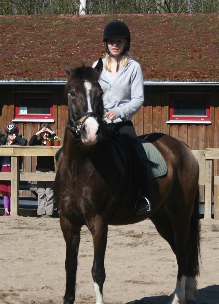 Gg stævne på bagsværd fort - Anita på Solly billede 35