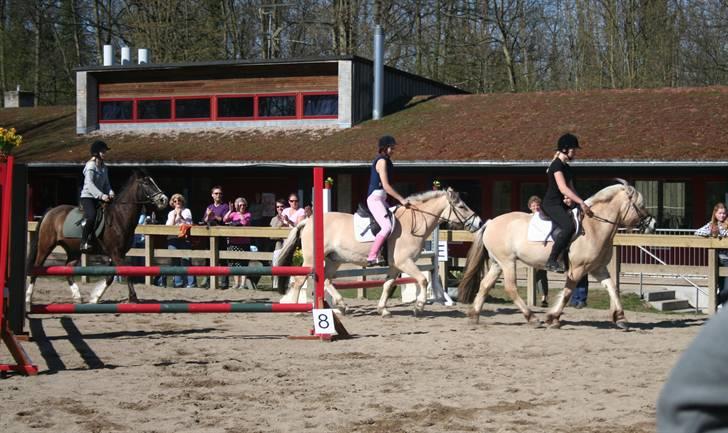 Gg stævne på bagsværd fort - Anita rider sejrsrunde billede 37