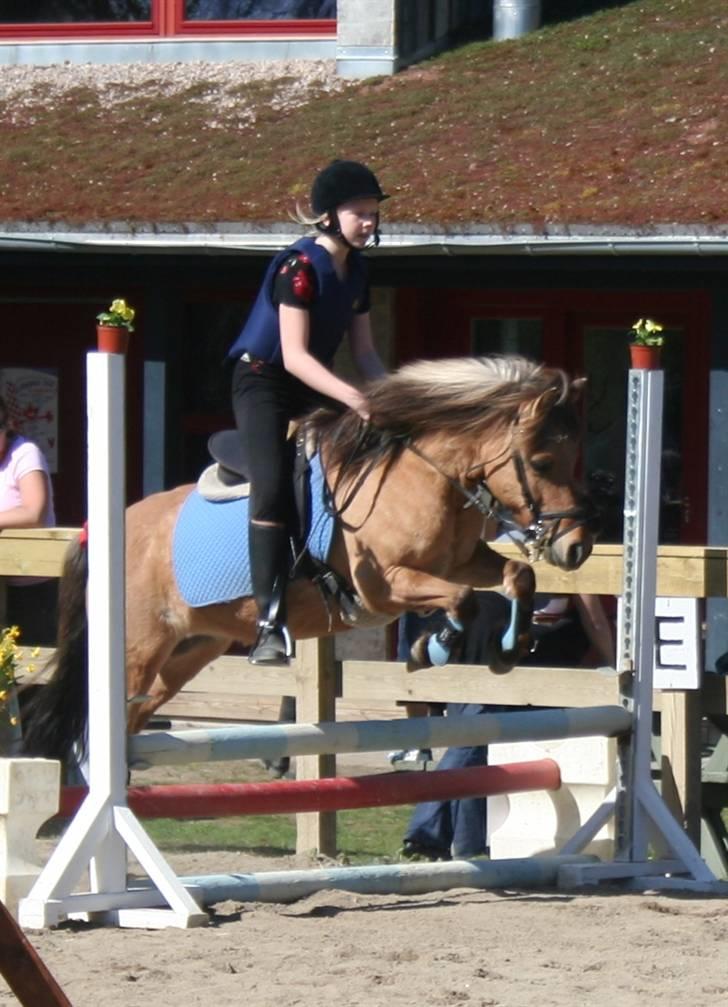 Gg stævne på bagsværd fort - Tiana på Thor billede 38