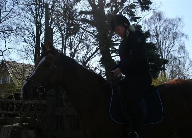 Gg stævne på bagsværd fort - Mette på Oskar billede 41
