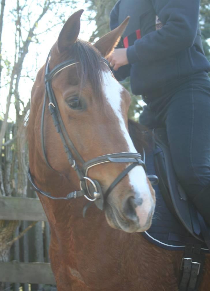 Gg stævne på bagsværd fort - Oskar billede 42