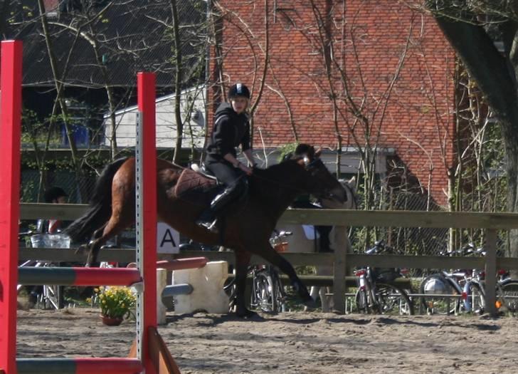 Gg stævne på bagsværd fort - Michelle på Horisont billede 53