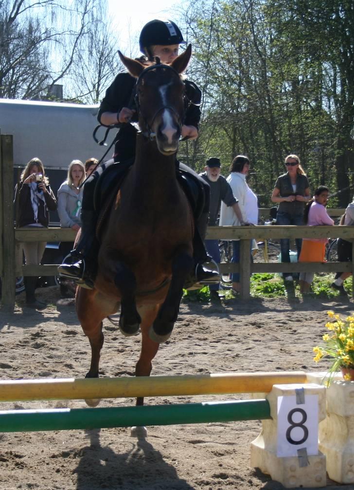 Gg stævne på bagsværd fort - Michelle på Horisont billede 55