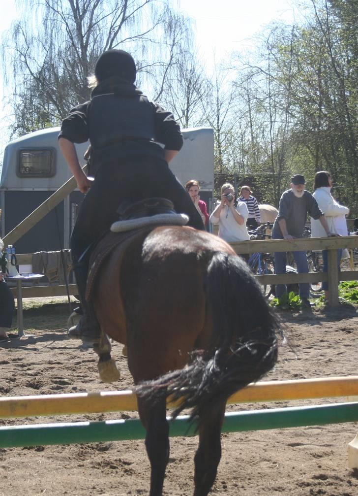 Gg stævne på bagsværd fort - Michelle på Horisont billede 58