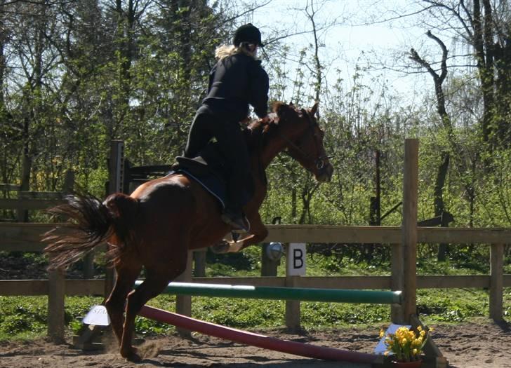 Gg stævne på bagsværd fort - Mette på Oscar billede 59