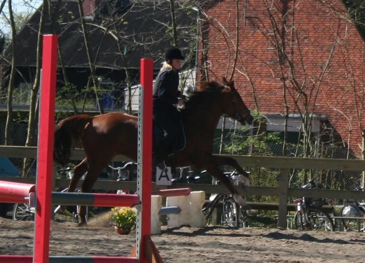 Gg stævne på bagsværd fort - Mette på Oscar billede 60