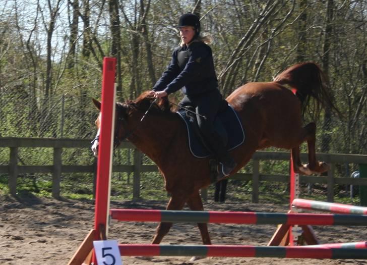 Gg stævne på bagsværd fort - Mette på Oscar billede 62
