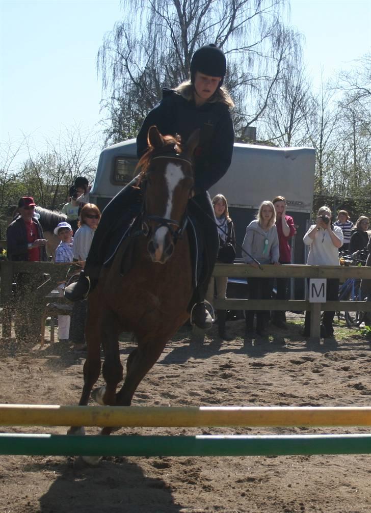 Gg stævne på bagsværd fort - Mette på Oscar billede 63