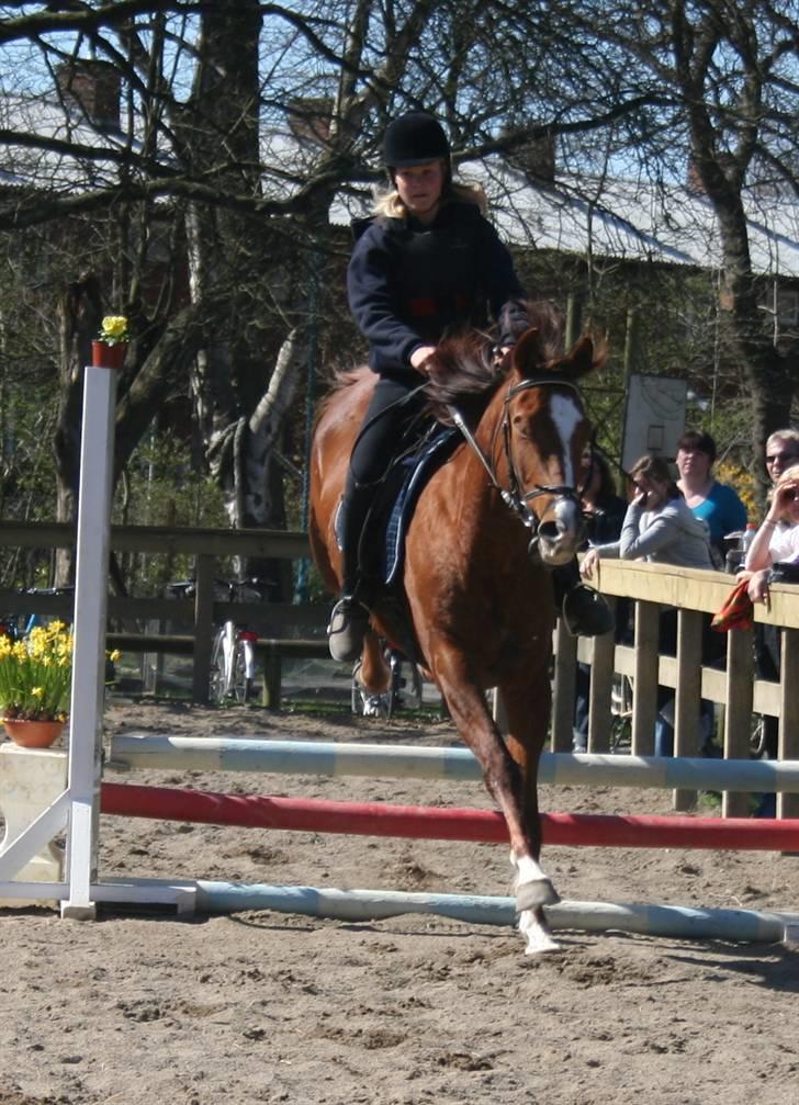 Gg stævne på bagsværd fort - Mette på Oscar billede 65