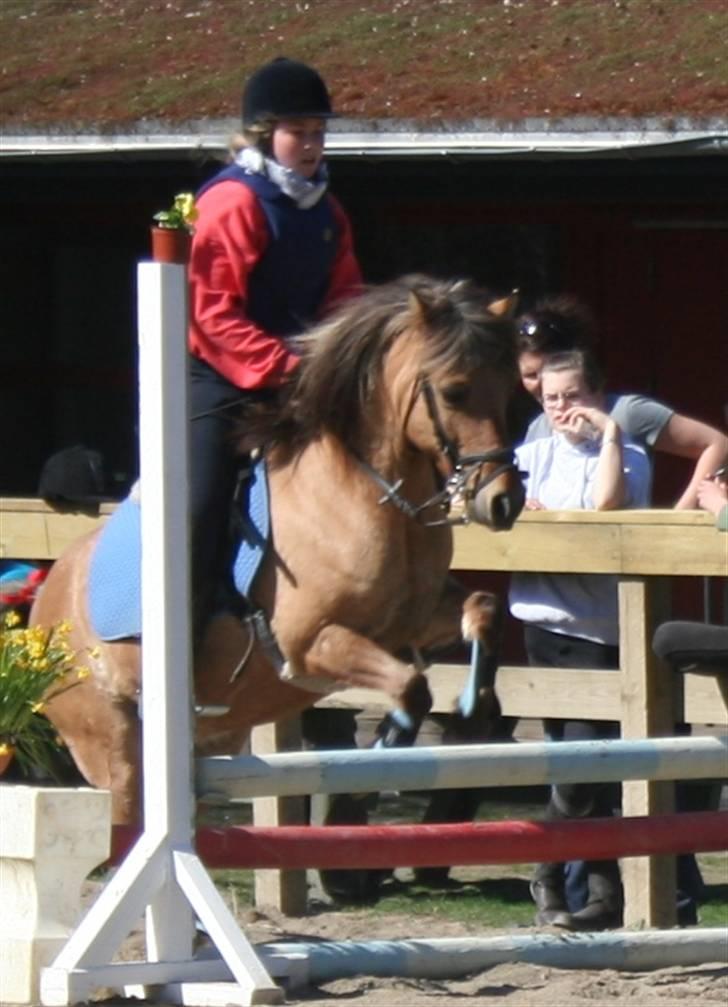 Gg stævne på bagsværd fort - Sara på Thor billede 66