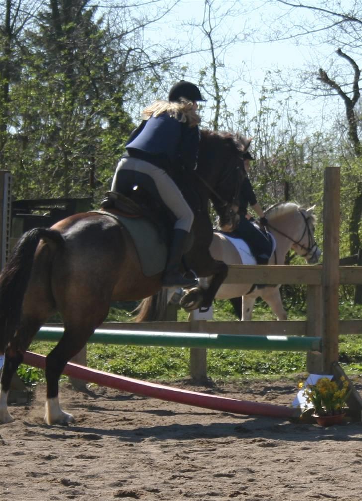 Gg stævne på bagsværd fort - Mie på Solly billede 68