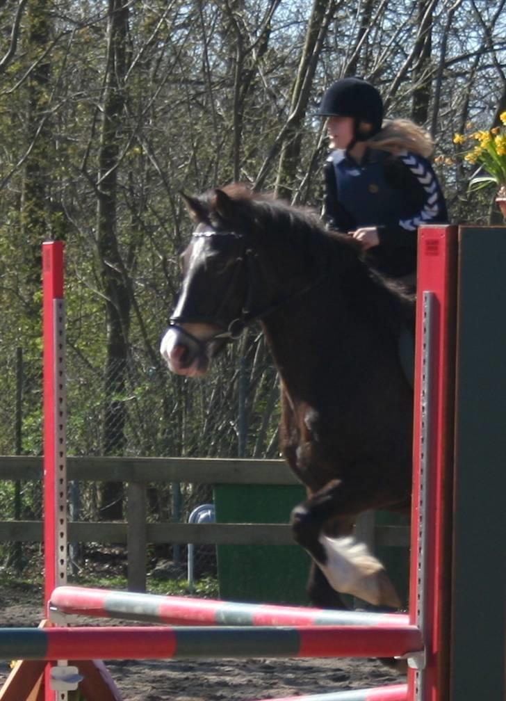 Gg stævne på bagsværd fort - Mie på Solly billede 69