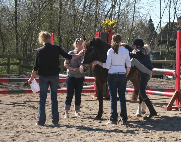 Gg stævne på bagsværd fort - Op igen billede 74