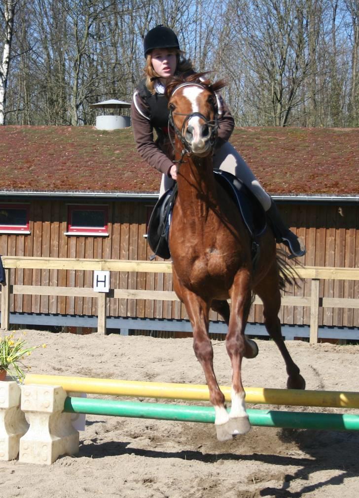 Gg stævne på bagsværd fort - Christine på Oskar billede 80