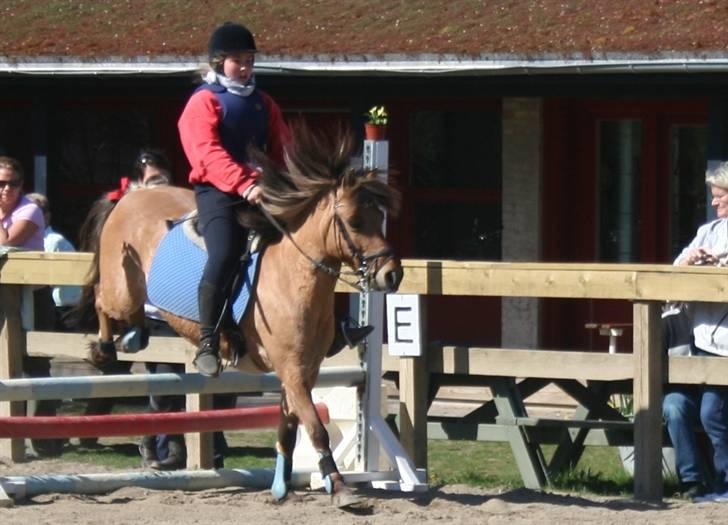 Gg stævne på bagsværd fort - Sara på Thor billede 82