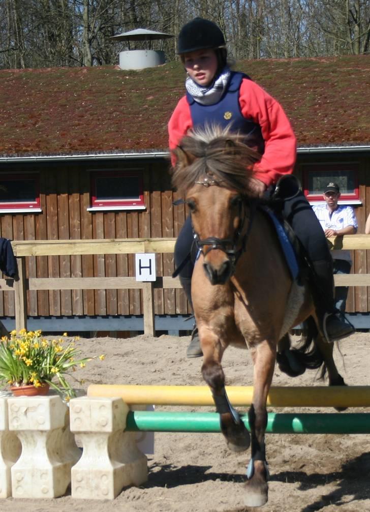 Gg stævne på bagsværd fort - Sara på Thor billede 84
