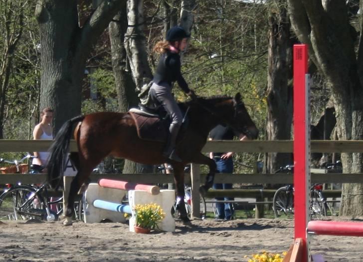 Gg stævne på bagsværd fort - Sophie på Horisont billede 85