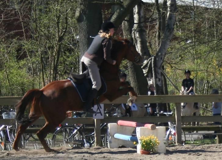 Gg stævne på bagsværd fort - Christine på Oskar billede 90