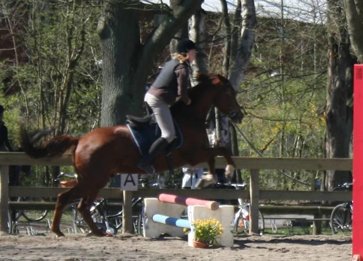Gg stævne på bagsværd fort - Christine på Oskar billede 93