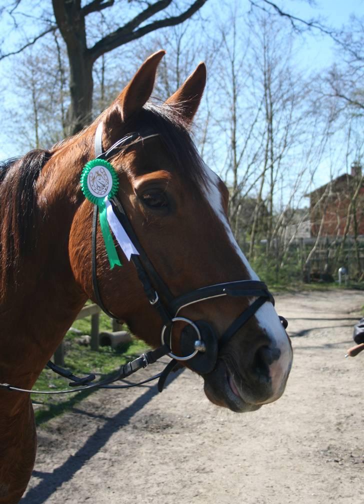Gg stævne på bagsværd fort - Oskar billede 95