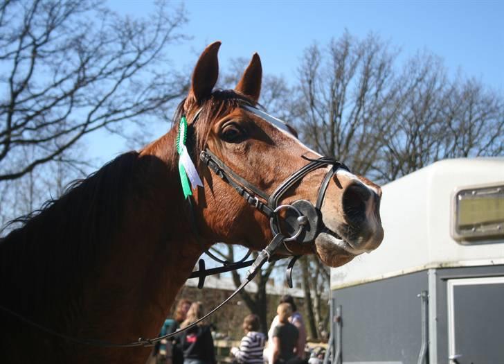 Gg stævne på bagsværd fort - Oskar billede 100