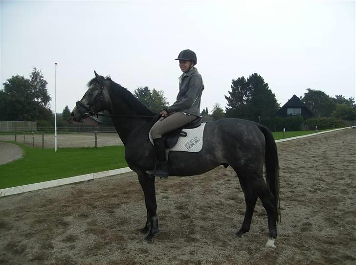 Optimal,toftehøjs cre'diva,romolus og lucky star - Christine og lucky ^^ billede 21