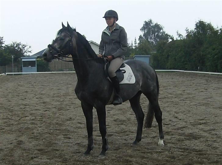 Optimal,toftehøjs cre'diva,romolus og lucky star - Christine og lucky =D billede 22