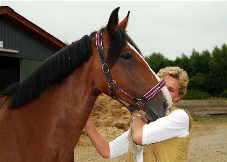 Søde Julias Fotografering, heste,hunde billede 13