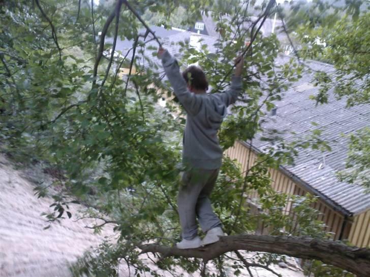 To aber i auktion på møn <3 Miig og Lasse Brøndum :D - Lasse er bare abe med stort A :D billede 2