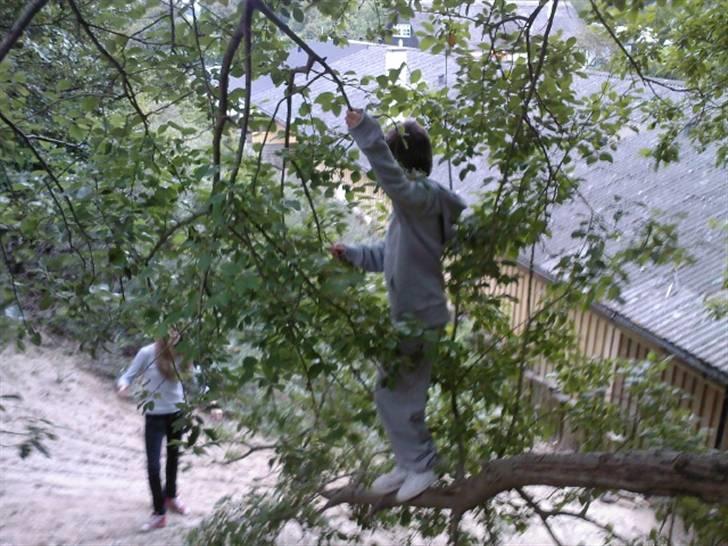 To aber i auktion på møn <3 Miig og Lasse Brøndum :D - Åhh '''nu begynder grenen at blive slappere. billede 3