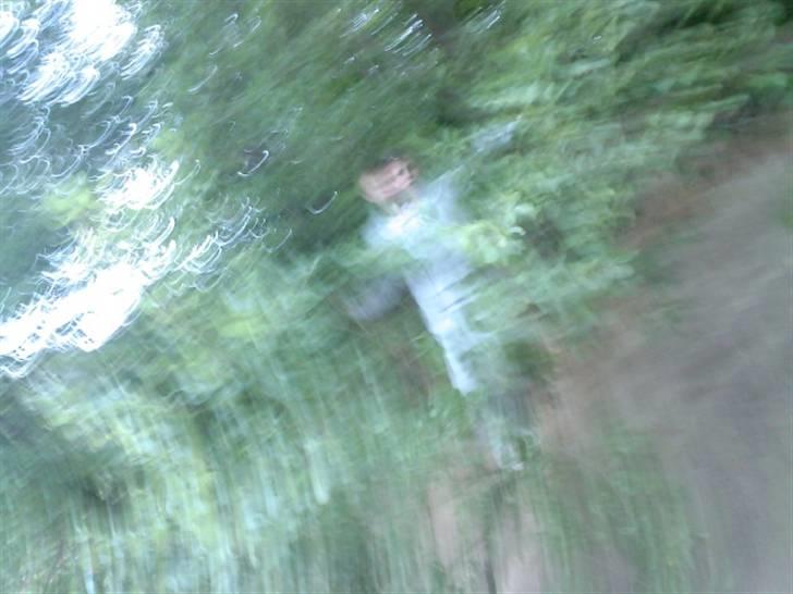 To aber i auktion på møn <3 Miig og Lasse Brøndum :D - Det går lidt vildt det her :D billede 9