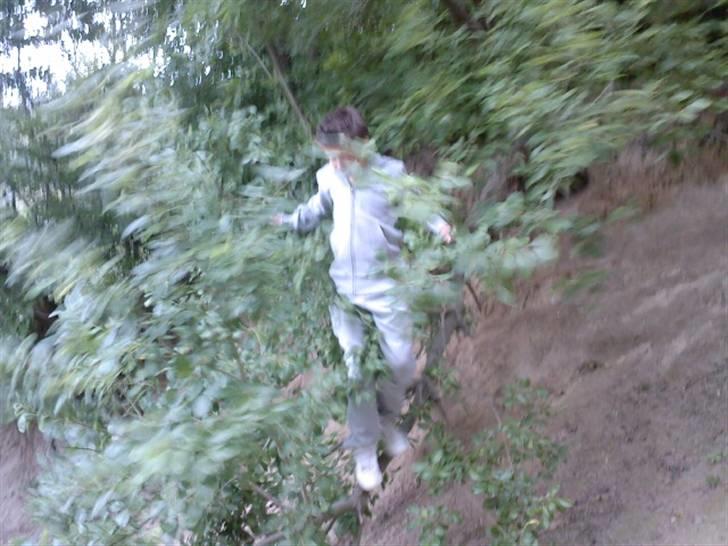 To aber i auktion på møn <3 Miig og Lasse Brøndum :D - Uhhh snart  ude på spidsen .. billede 10