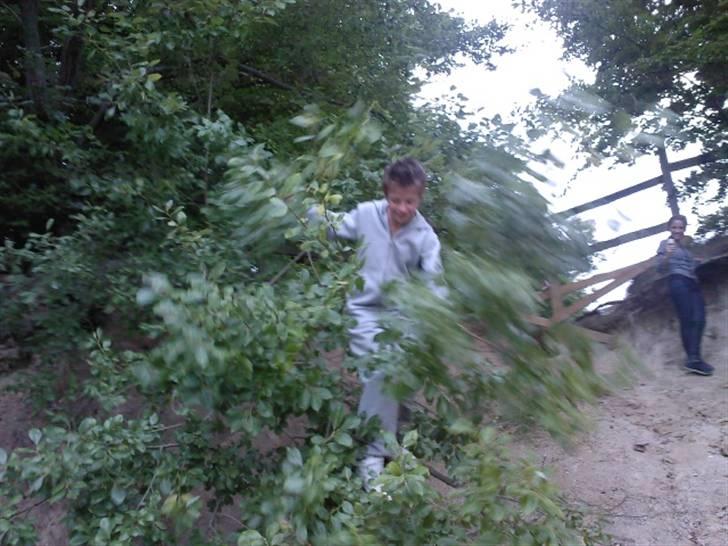 To aber i auktion på møn <3 Miig og Lasse Brøndum :D - Åhh åhh neij jeg vil ikk falde ned igen .. billede 12