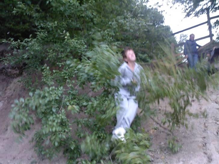 To aber i auktion på møn <3 Miig og Lasse Brøndum :D - Uhhhh så skal vi oss kunne komme tilbage lasse!!! billede 13