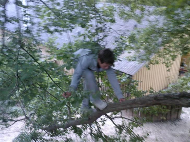 To aber i auktion på møn <3 Miig og Lasse Brøndum :D - Arg neij ikk igen videre med diiq lasse<3!!! billede 19