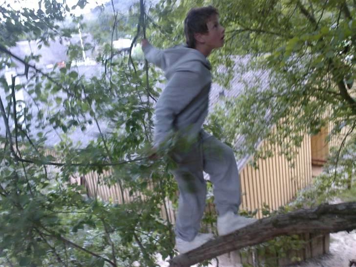 To aber i auktion på møn <3 Miig og Lasse Brøndum :D - Jaaa du har nesten klaret den :) billede 20