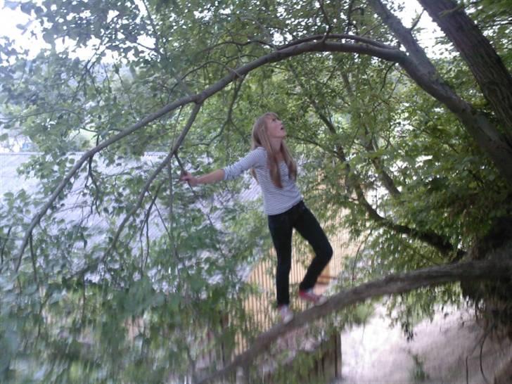 To aber i auktion på møn <3 Miig og Lasse Brøndum :D - Anna min pige skulle os lige hurtig prøve fuck det var sjovt :D billede 22