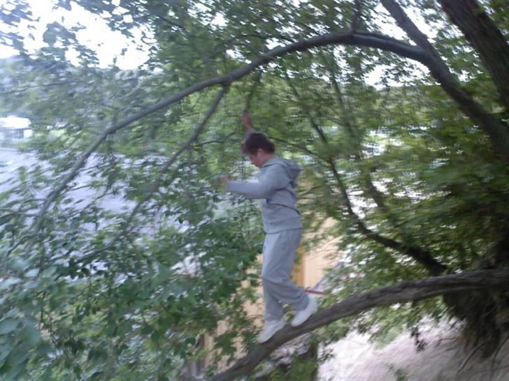 To aber i auktion på møn <3 Miig og Lasse Brøndum :D - Men så skulle lasse oss lige igen ja ja billede 24