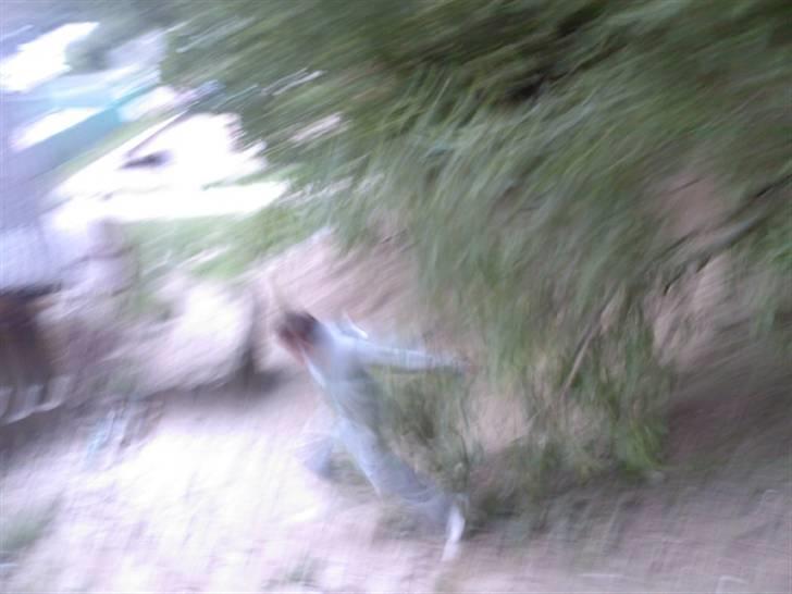 To aber i auktion på møn <3 Miig og Lasse Brøndum :D - HAHAH lasse faldt ned igen Griner !!<3 billede 26