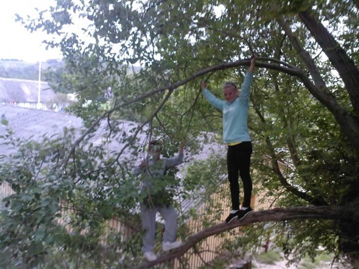 To aber i auktion på møn <3 Miig og Lasse Brøndum :D - Jaa så er vi begge igang OG mod hinanden FUCK<3 billede 27