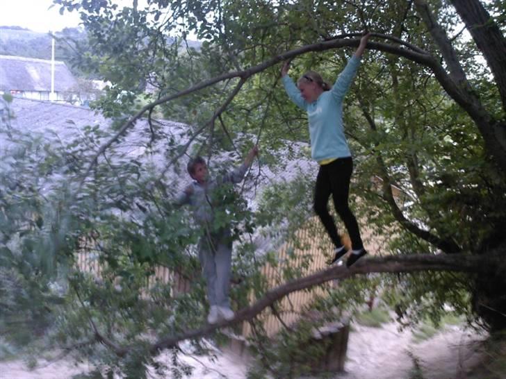 To aber i auktion på møn <3 Miig og Lasse Brøndum :D - Jeg klarer den hahah gør jeg ikk :P billede 28