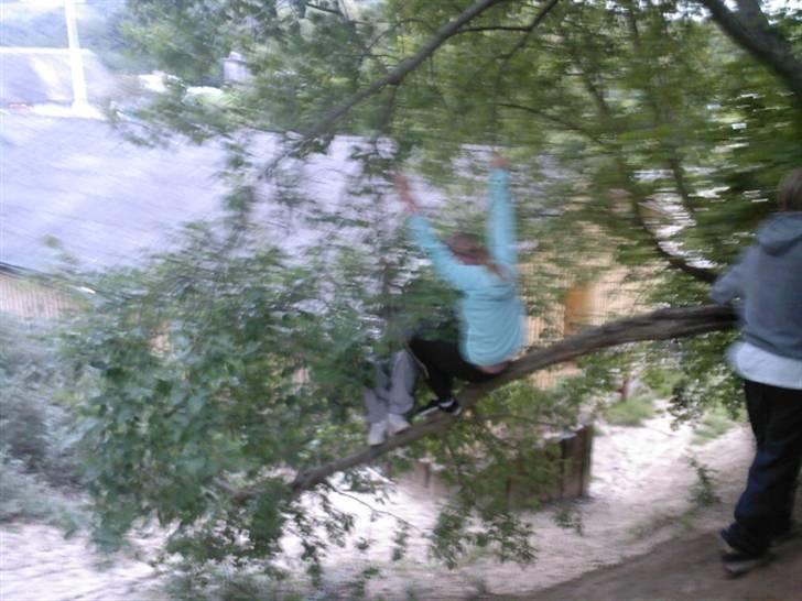 To aber i auktion på møn <3 Miig og Lasse Brøndum :D - NEij neij neij jamen jeg holder fast !!! billede 30