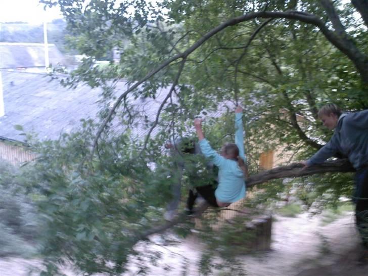 To aber i auktion på møn <3 Miig og Lasse Brøndum :D - Du kan glemme det var sjovt fordi det var faktisk lasse der var tettest på at falde ned fordi har var så opsat på at skulle få miig ned :P billede 31