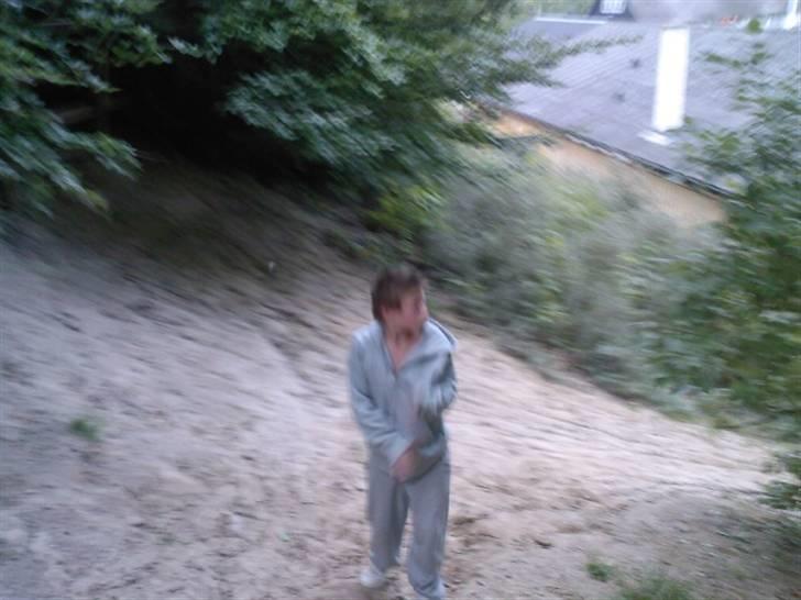 To aber i auktion på møn <3 Miig og Lasse Brøndum :D - Ogg jaa upser det var s'øreme lasse der faldt ned !!:D billede 32