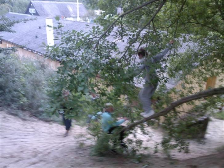 To aber i auktion på møn <3 Miig og Lasse Brøndum :D - Hjælp jeg skal bare ikk falde ned :( :P billede 35