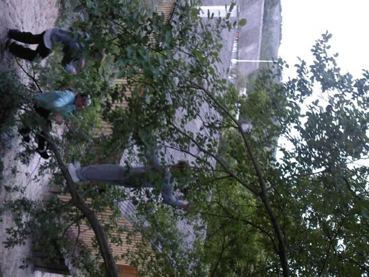 To aber i auktion på møn <3 Miig og Lasse Brøndum :D - Så kom bastian selvfølgelig og lige skulle give gynge tur da jeg sad der veeeee <3:D billede 36