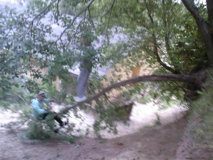 To aber i auktion på møn <3 Miig og Lasse Brøndum :D - Lige der sad jeg ret behageligt haha <3!! billede 37