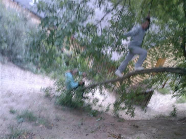 To aber i auktion på møn <3 Miig og Lasse Brøndum :D - MEn åhh neij lasse må ikk vinde !<3 billede 38