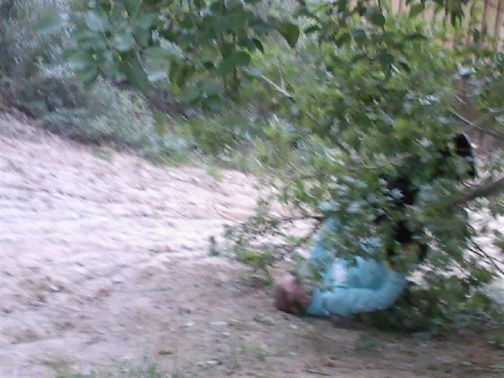 To aber i auktion på møn <3 Miig og Lasse Brøndum :D - Det gik ikk så godt jeg gled mere og mere jo mere jeg blev rystet <3 billede 42