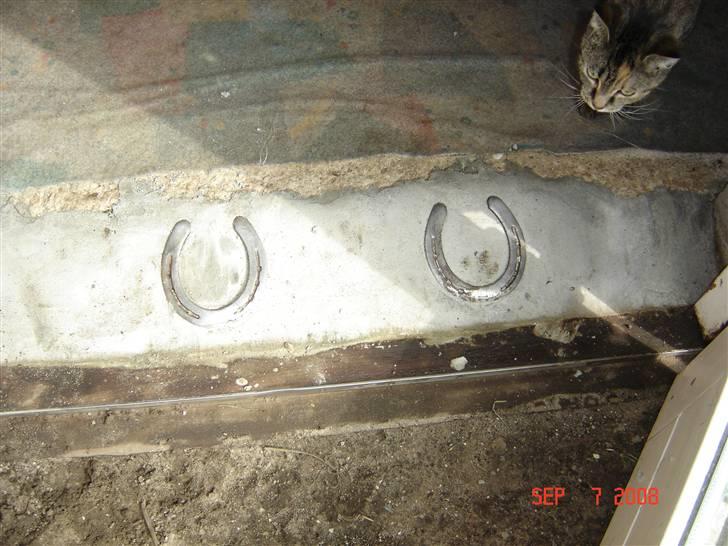 Hvad kan man bruge gamle hestesko til??? - Her står jeg udenfor og tager billedet billede 1